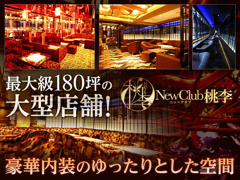 New Club 桃李(トウリ)の求人画像