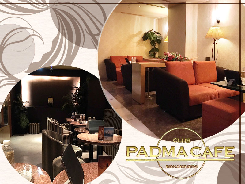PADMA CAFE(パドマカフェ)の求人画像